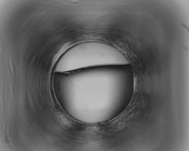 X0000097870195200803140925