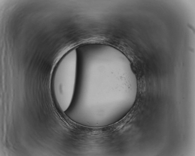X0000097870196200803140925