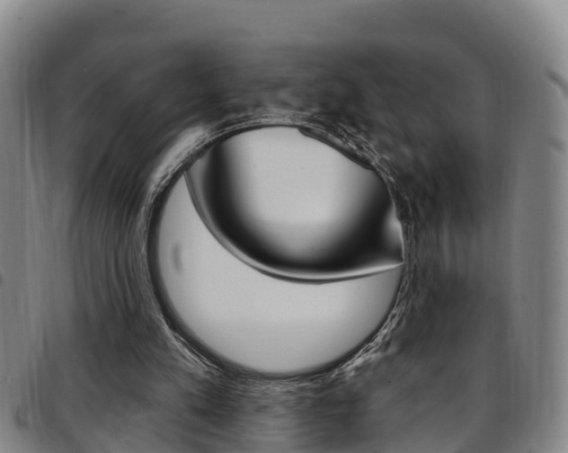 X0000097870197200803140925