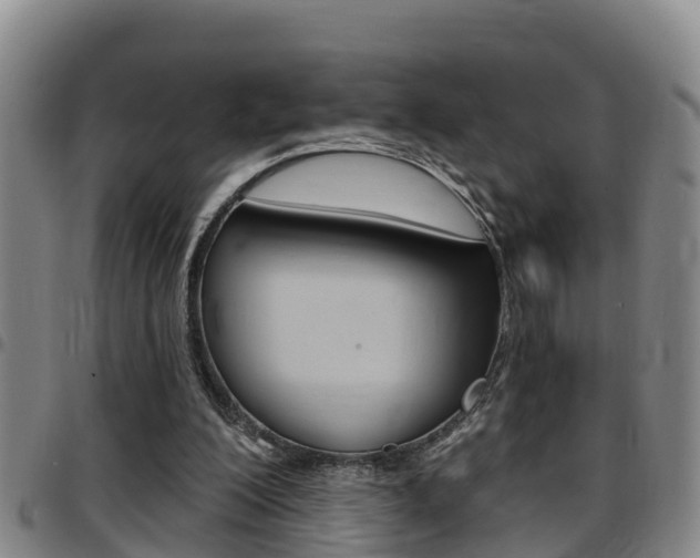 X0000097870200200803140925