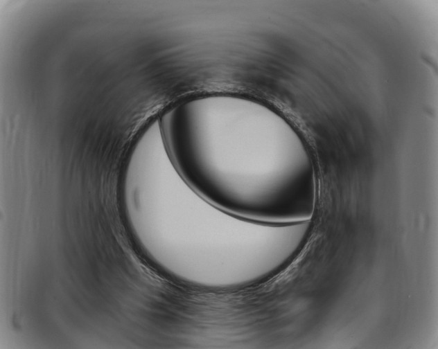 X0000097870201200803140925