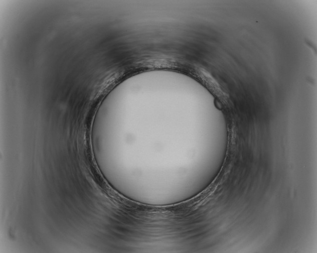 X0000097870202200803140925
