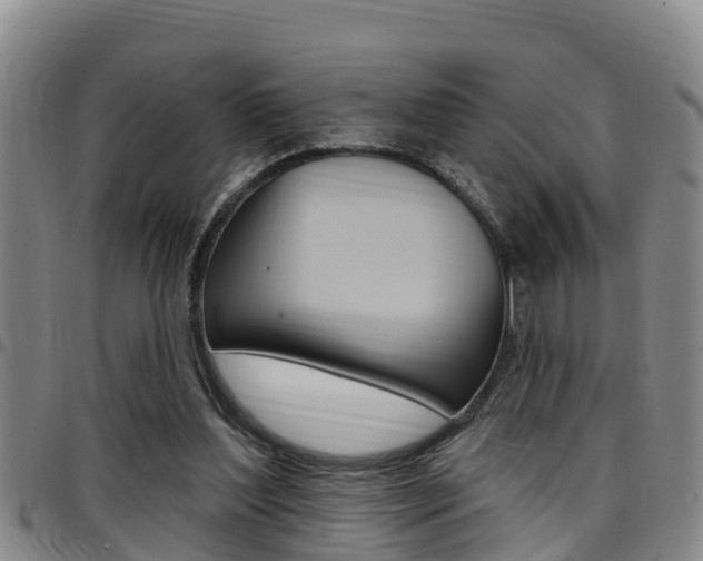 X0000097870204200803140925
