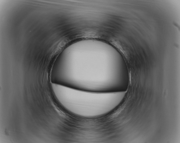 X0000097870205200803140925