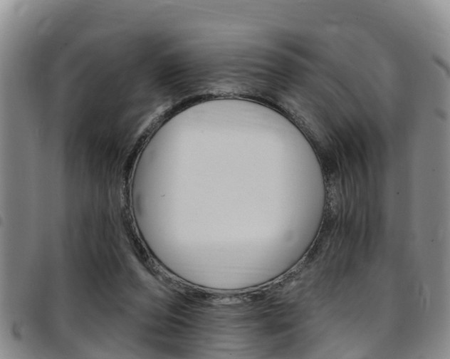 X0000097870208200803140925