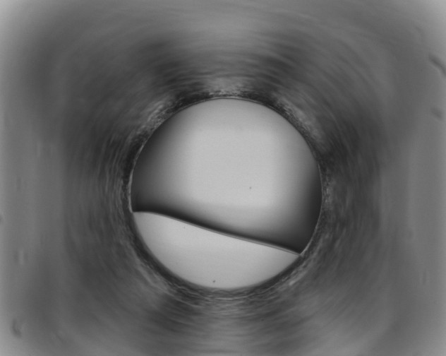 X0000097870209200803140925