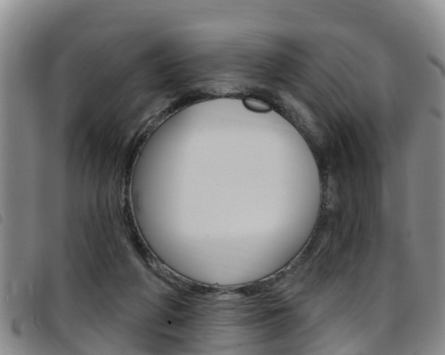 X0000097870210200803140925