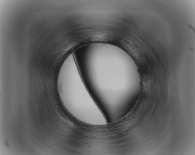 X0000097870211200803140925