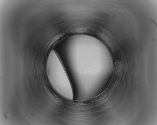 X0000097870212200803140925