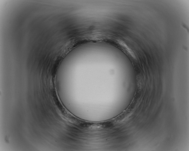 X0000097870213200803140925