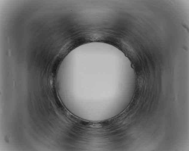 X0000097870214200803140925