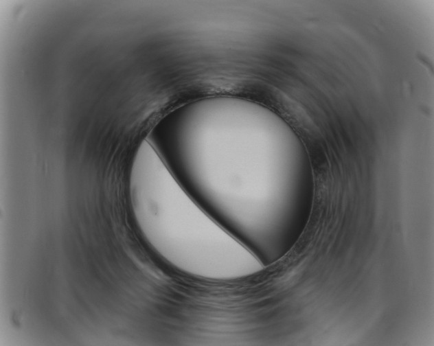 X0000097870215200803140925