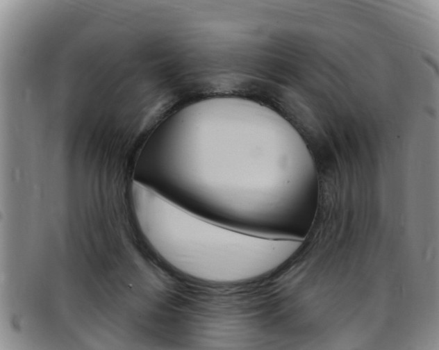 X0000097870216200803140925
