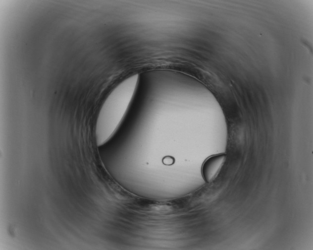 X0000097870220200803140925