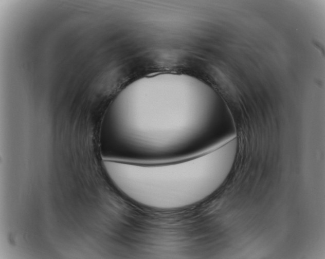 X0000097870221200803140925