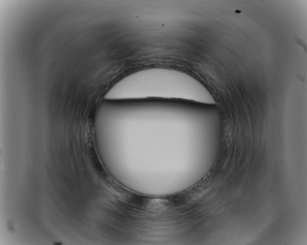 X0000097870222200803140925