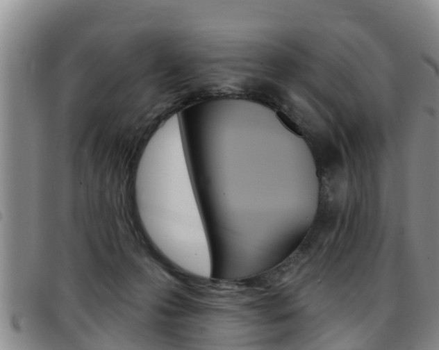 X0000097870223200803140925