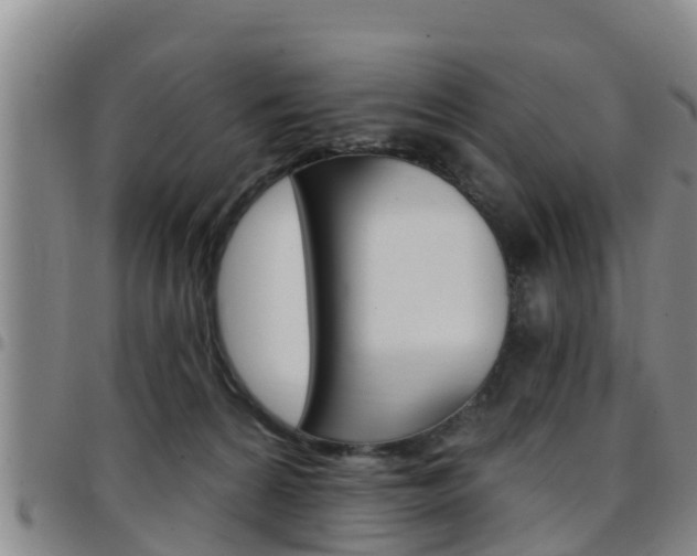 X0000097870224200803140925