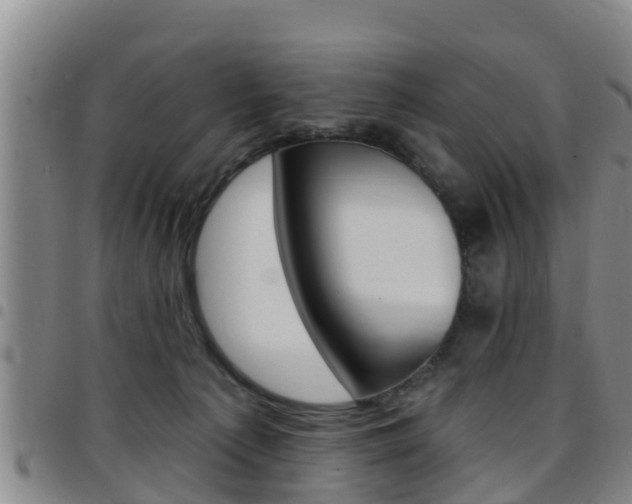 X0000097870225200803140925