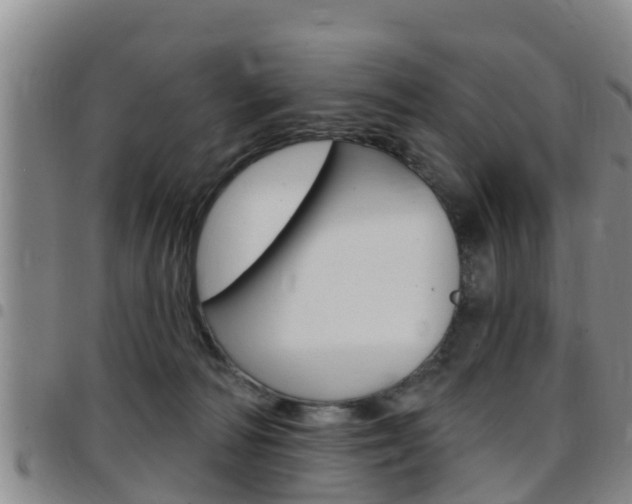 X0000097870226200803140925