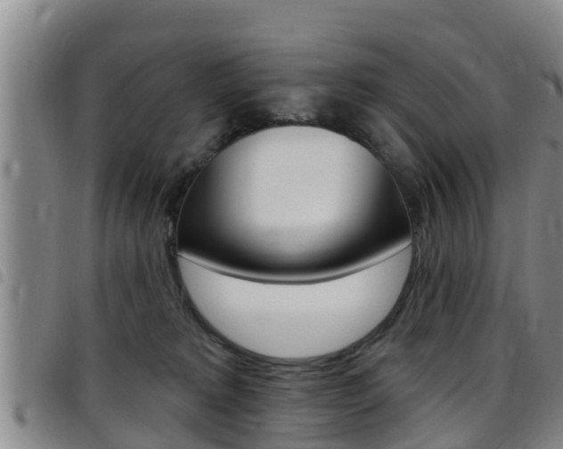 X0000097870229200803140925