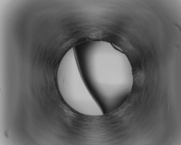 X0000097870233200803140925