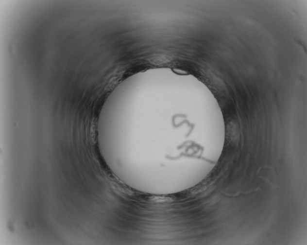 X0000097870234200803140925
