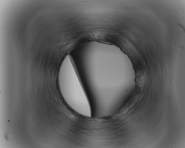 X0000097870235200803140925