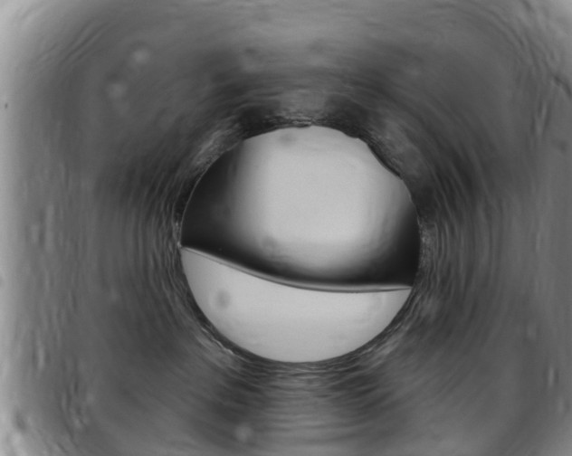 X0000097870237200803140924
