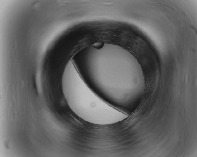 X0000097870239200803140924