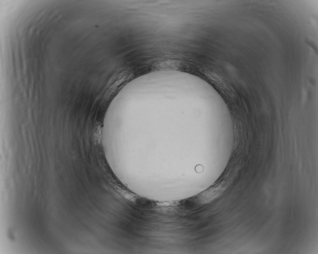 X0000097870240200803140924
