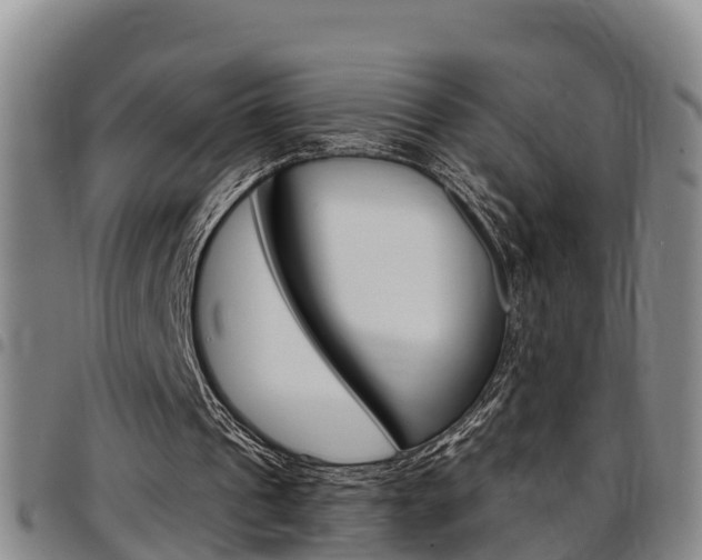 X0000097870241200803140924