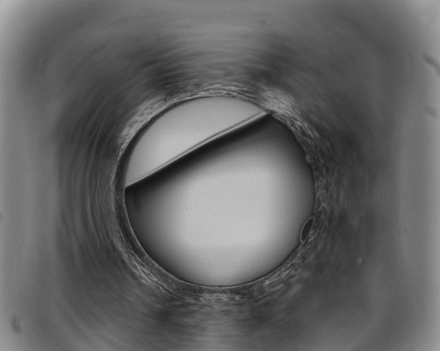 X0000097870242200803140924