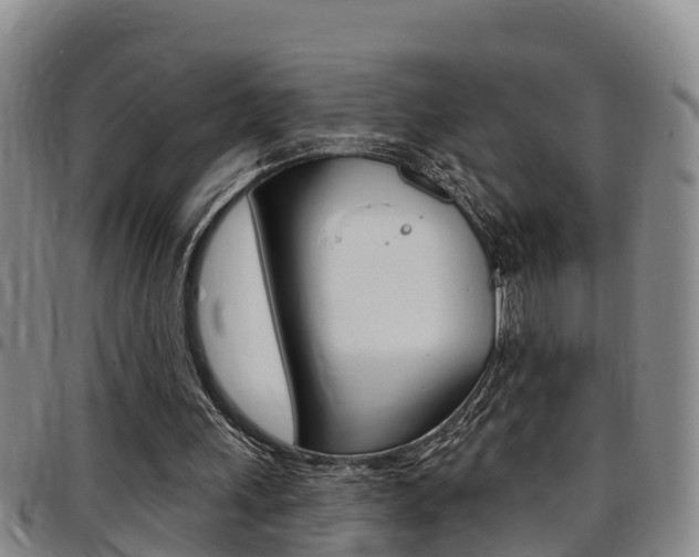 X0000097870243200803140924