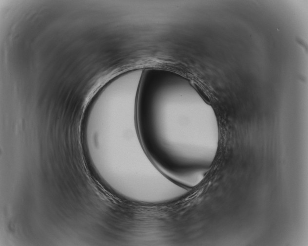 X0000097870244200803140924
