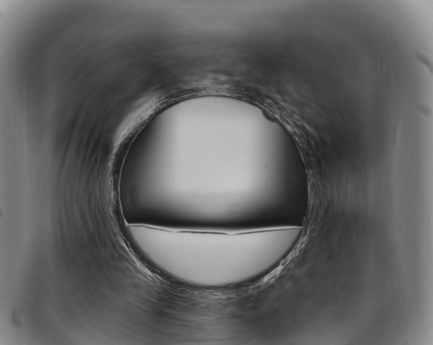 X0000097870245200803140924