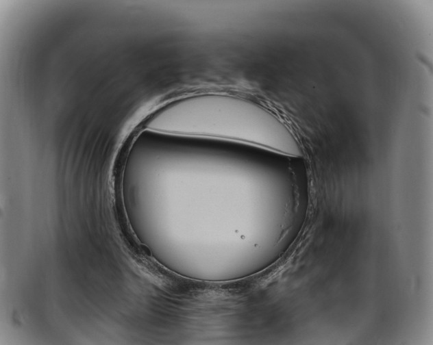 X0000097870246200803140924