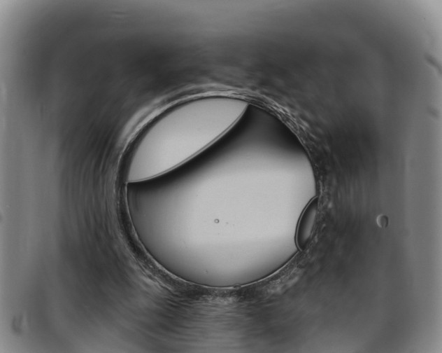 X0000097870247200803140924