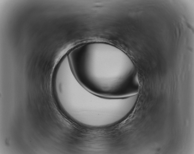 X0000097870248200803140924