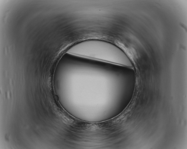 X0000097870249200803140924