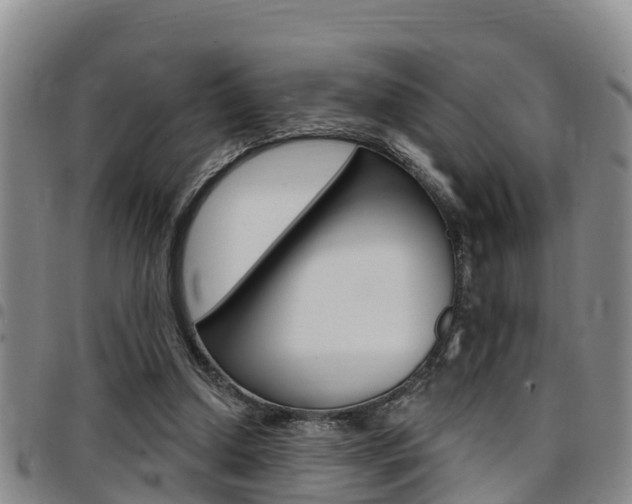 X0000097870250200803140924