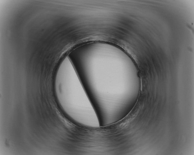 X0000097870253200803140924