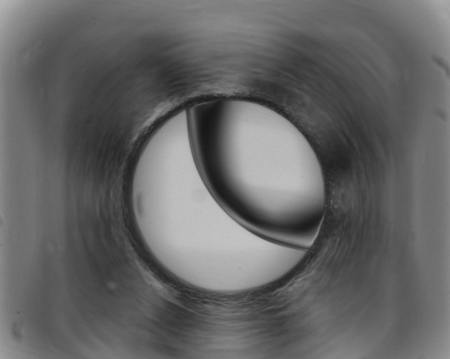 X0000097870256200803140924