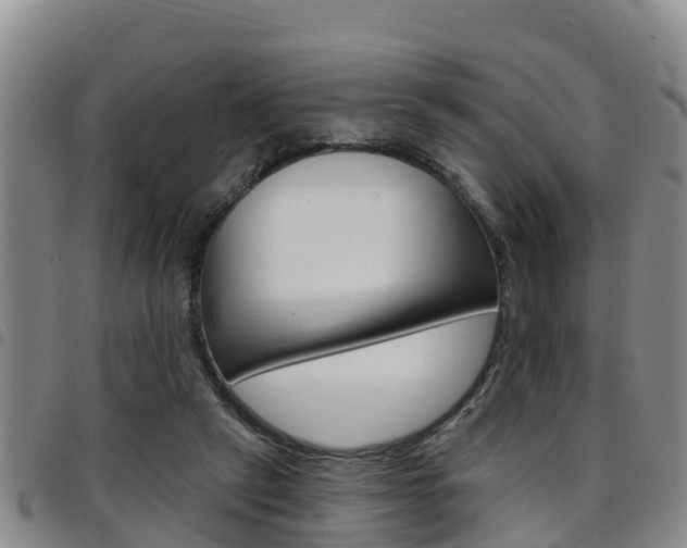 X0000097870257200803140924