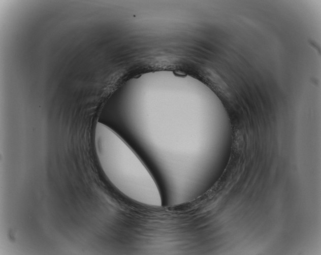 X0000097870259200803140924