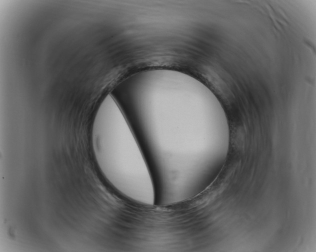 X0000097870261200803140924