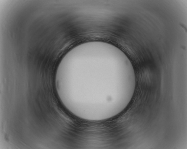 X0000097870262200803140924