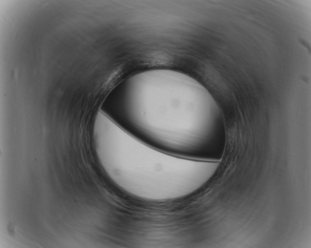 X0000097870264200803140924