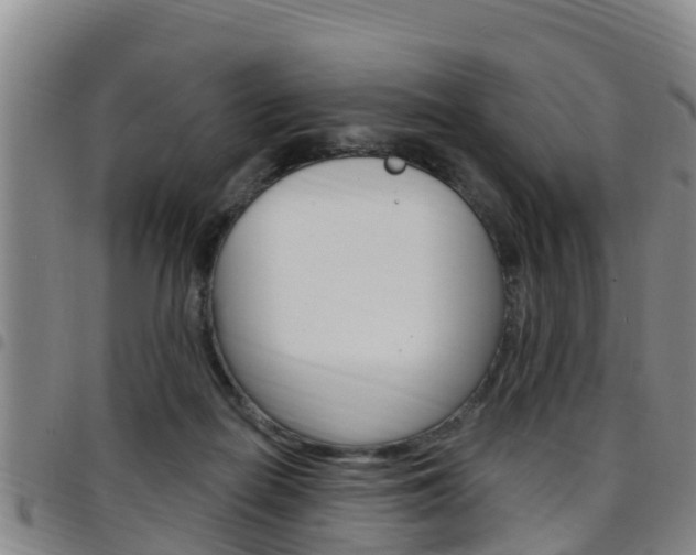 X0000097870266200803140924