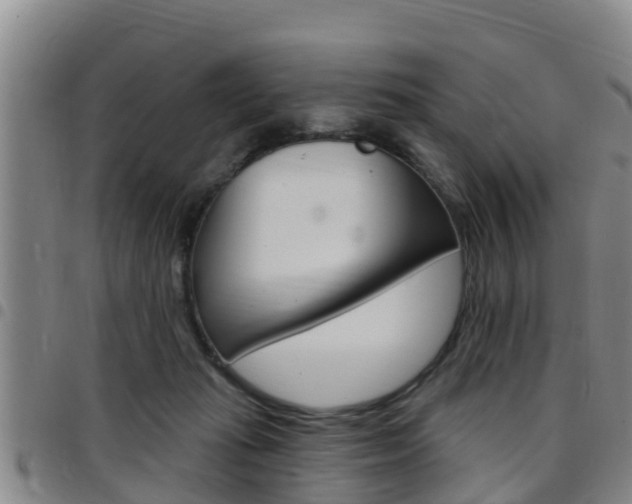 X0000097870269200803140924
